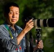 麻豆传媒资源是什么-独自欣赏世界的窗口,解锁麻豆传媒资源的奥秘